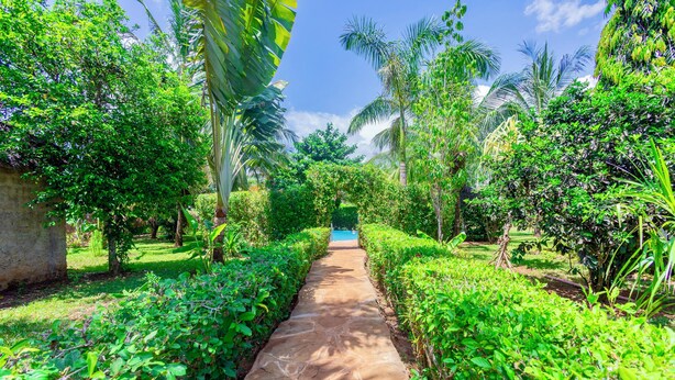 Un camino de piedra que lleva a una piscina rodeada de exuberante vegetación y palmeras.