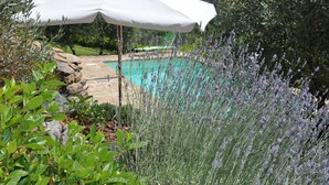 A pool area with a white umbrella, surrounded by greenery and lavender plants.