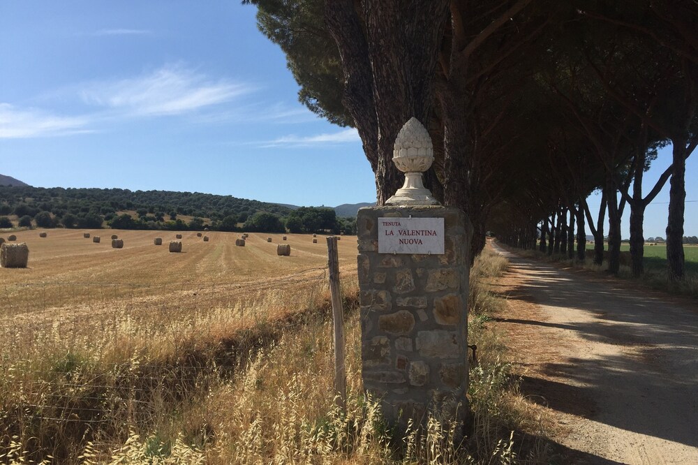 MAREMMA NATURAL PARK, wild nature & sea at the same time. Cosy family apartment