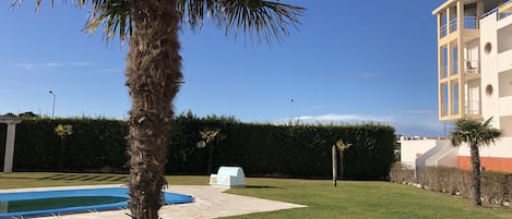 A pool area with a palm tree, a hedge, and a building with balconies.