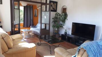 TV connectée, cheminée, livres