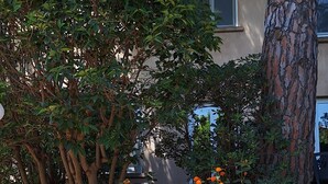 Property grounds - "MarViva" Air-conditioned house, 2/3 bedrooms - Private swimming pool, 5 min walk to the beach (La Seyne-Sur-Mer)