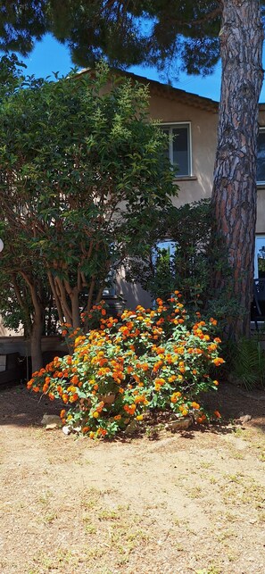 Jardines del alojamiento