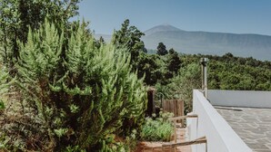 A rooftop terrace with a view of a mountain, surrounded by dense greenery.