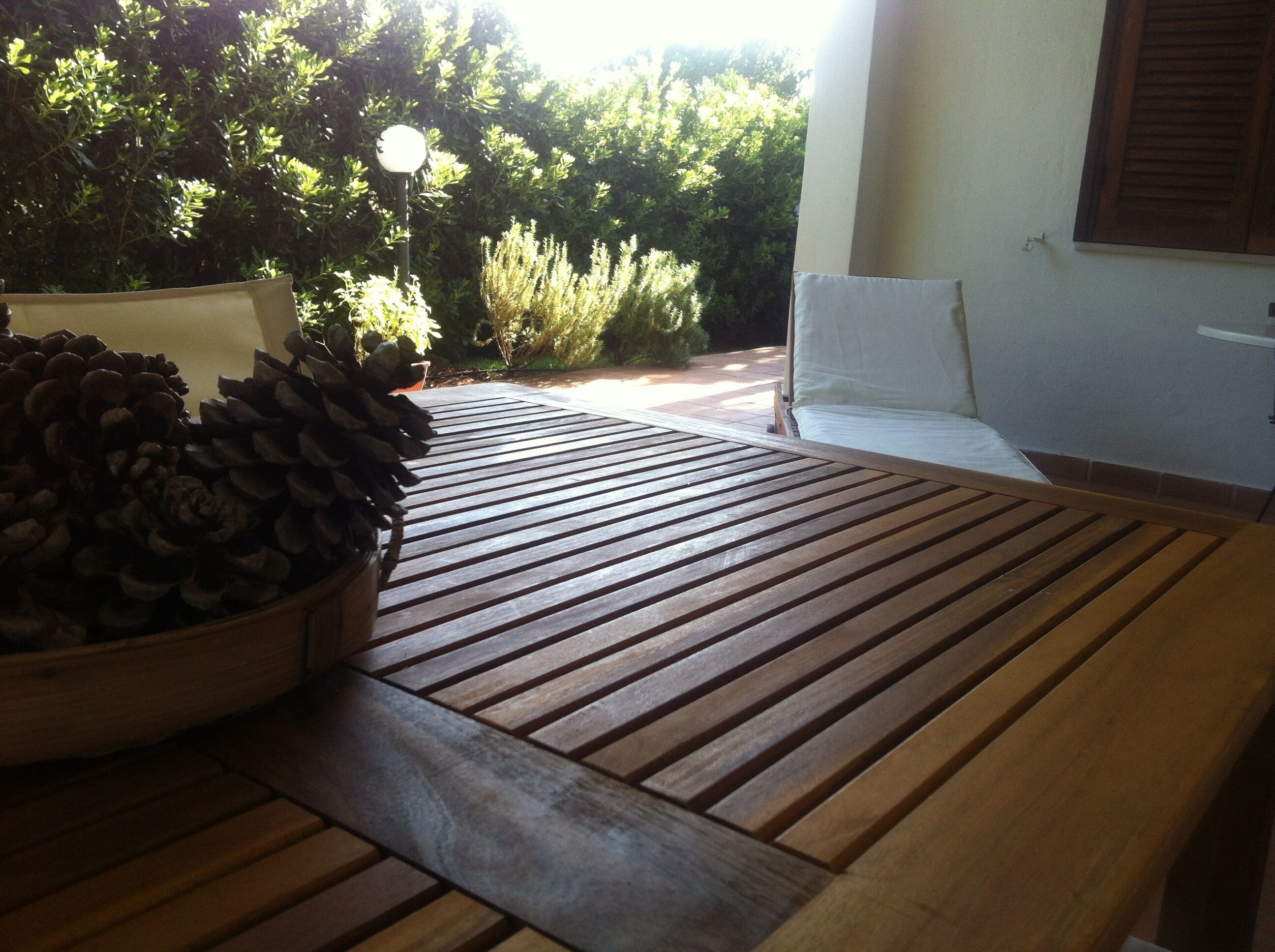 Rosa Marina, in complete relaxation