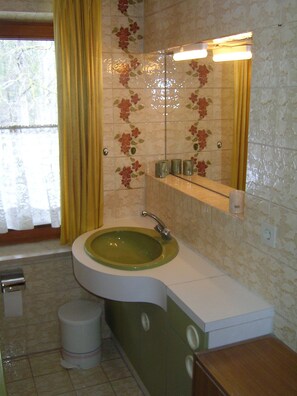 Bathtub, hair dryer, bidet, towels