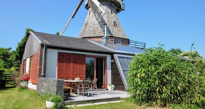 Comfortable holiday home, exclusive location on the windmill, near Warnemunde