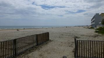 Plage, chaises longues