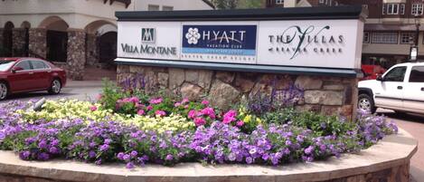 Parco della struttura