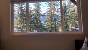 Une fenêtre donnant sur de grands arbres à feuilles persistantes et sur une montagne en arrière-plan.