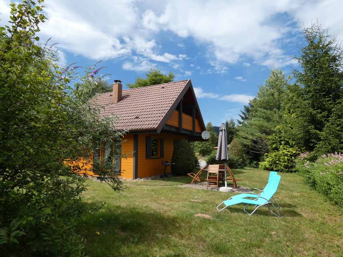 Imagem do perfil do anfitrião