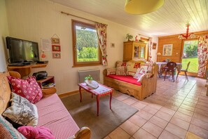 テレビ、暖炉、DVD プレーヤー、書庫