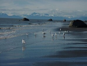 Unclassified image, 2 of 24, button