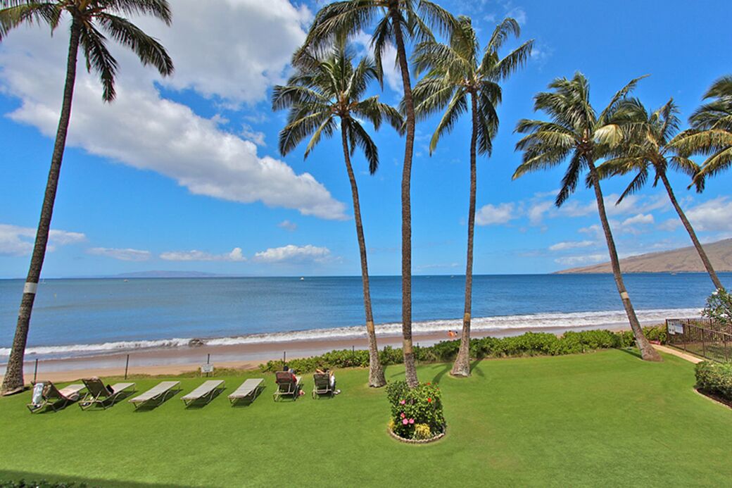 Vista de playa con palmeras, un área verde con sillas de descanso y un cielo azul despejado.