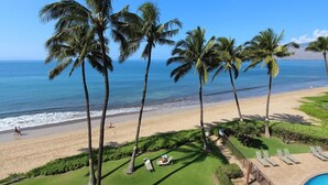 A beach view with palm trees, a pool, and a clear sky.