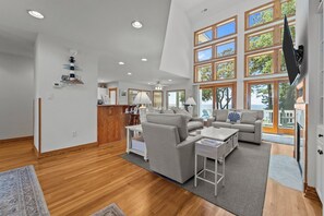 TV, caminetto, lettore DVD, libri