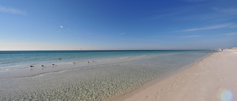 On the beach