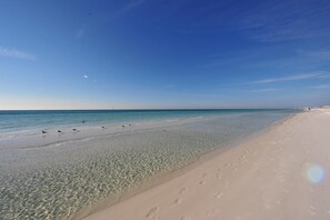 On the beach