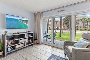 Smart TV, fireplace, books