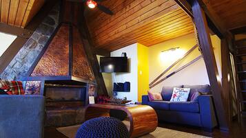 Télévision, cheminée, jeux vidéo, lecteur de DVD