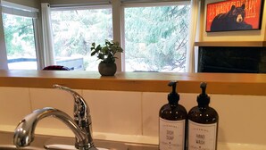 Un lavamanos de cocina con grifo, dos botellas de detergente para platos y una planta en maceta en el alféizar.