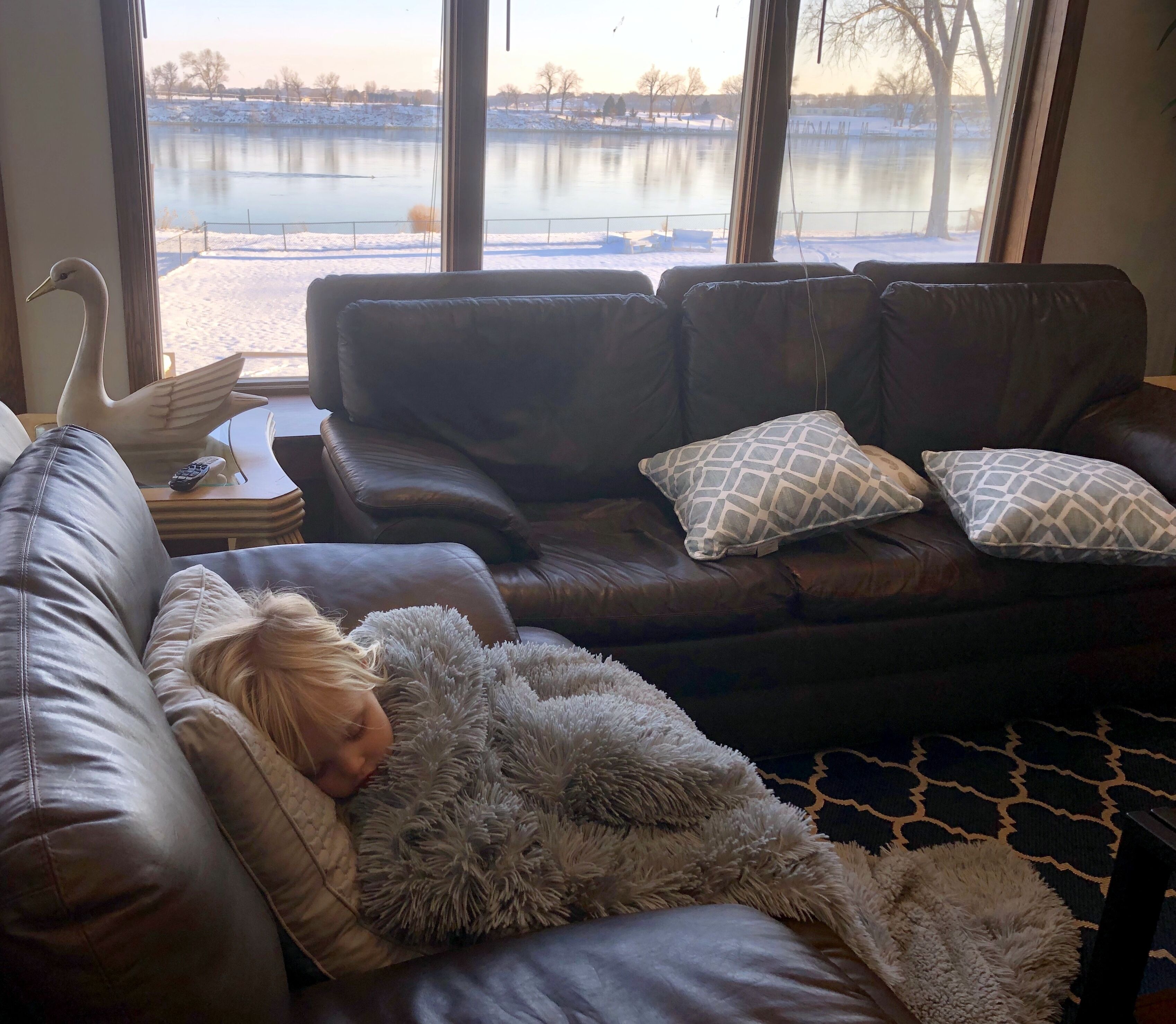 Custom, Private Riverfront Property on 2 acres- Unobstructed River Views!