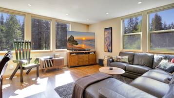 Smart TV, DVD player, video library, stereo