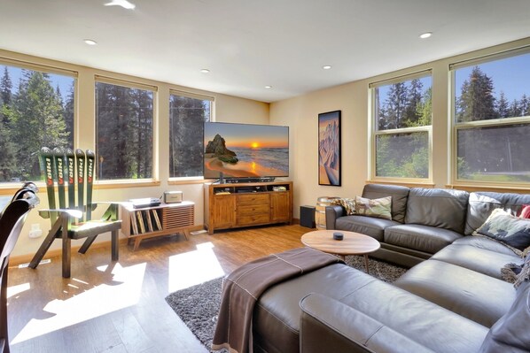 Smart TV, DVD player, video library, stereo