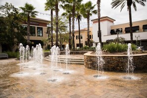 Stroll through the tranquil public fountain area surrounded by lush greenery and palm trees.