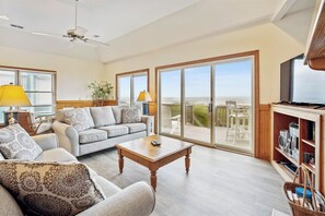 电视、壁炉、DVD 播放器、书