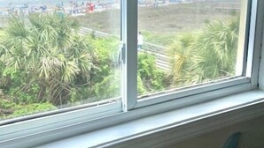 A window with a view of a beach and palm trees.