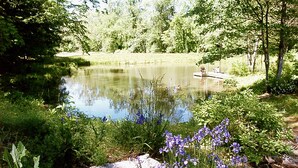 A serene pond surrounded by lush greenery and rocks. - Hidden Hollow Farm - Pool; Game Rm; Sleeps 26, 45 min. to DC, Weddings/Corporate (Warrenton)