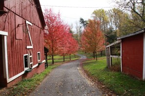 Property grounds - Hidden Hollow Farm - Pool; Game Rm; Sleeps 26, 45 min. to DC, Weddings/Corporate (Warrenton)