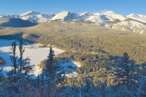 Paisaje montañoso con picos nevados y un valle boscoso.