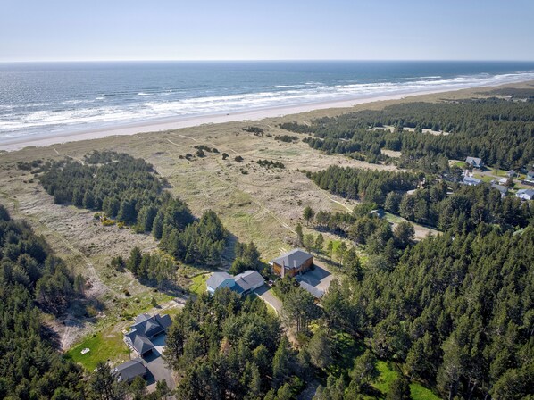 An aerial view of a coastal residential area with houses surrounded by dense forests, a beach, and a clear sky. - Beach Retreat - Dog Friendly-Beachfront-Beach Path (Long Beach)