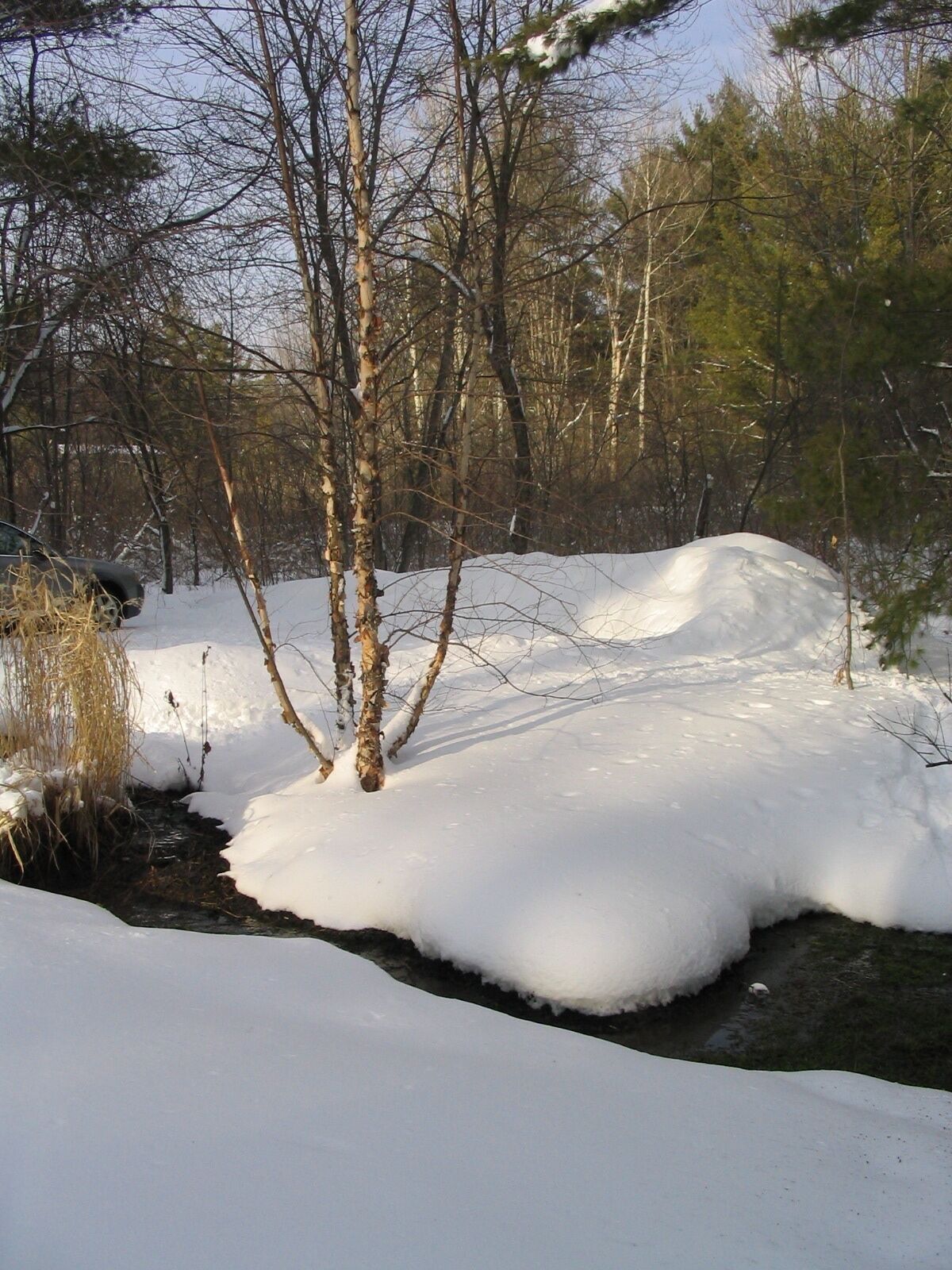 Renting for 31+ days; Competitive pricing, Cozy, Scenic, Quiet, area.