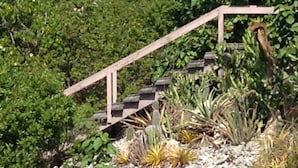 Una scala di legno che sale su un terreno roccioso, con diverse piante e arbusti.
