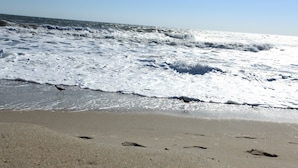 A beach with waves, a bird, and footprints in the sand.