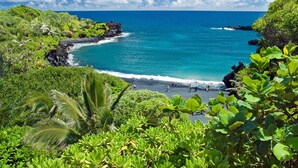 A tropical beach with lush greenery and a clear blue ocean.