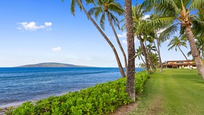 A coastal view with palm trees and a grassy path leading to a building.