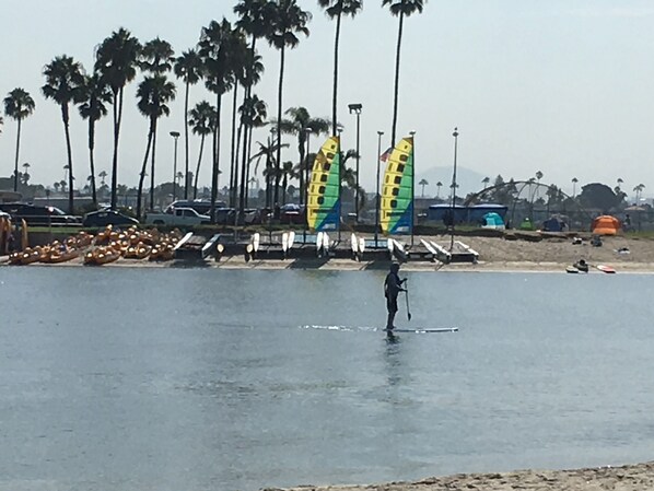 A beach with palm trees, a person on a paddleboard, and colorful flags. - 3 bdr, 3 bath Home Walk to bay, ocean, restaurants and shops! (San Diego)