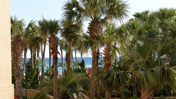 Uitzicht op een resort met hoge palmbomen en een helder uitzicht over de oceaan.