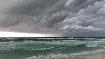 På stranden, solsenger og strandhåndklær