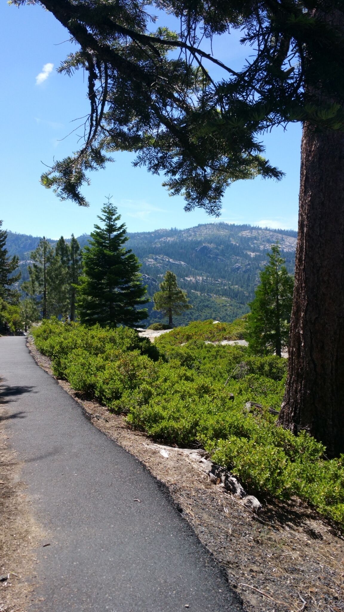 Une route asphaltée bordée de chaque côté d’une végétation luxuriante et d’arbres, qui mène à un paysage montagneux se découpant à l’horizon.