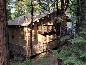 Exterior - PinecrestAreaRentals #17  Fun cabin 3rd night free till 6/15. Just Book 2nights. (Cold Springs)