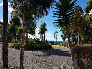Property grounds - A Native Coastal New Zealand Experience (Pataua)