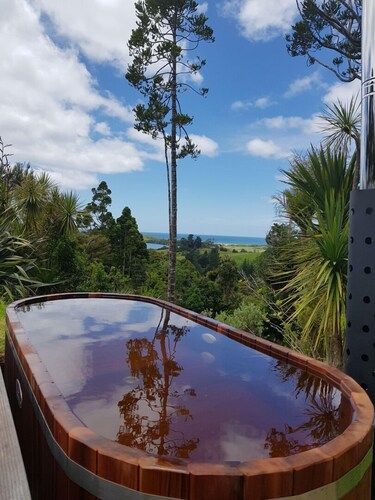 A Native Coastal New Zealand Experience