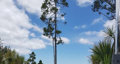 A Native Coastal New Zealand Experience