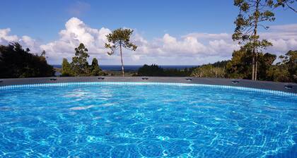 A Native Coastal New Zealand Experience