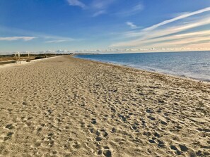 Une vaste plage de sable où l’on peut voir des empreintes de pas qui mènent à l’eau.